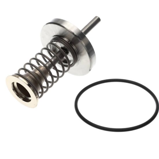 Picture of Watts Fourth Check Repair Kit For 2 1/2 To 3 I Part# 794014