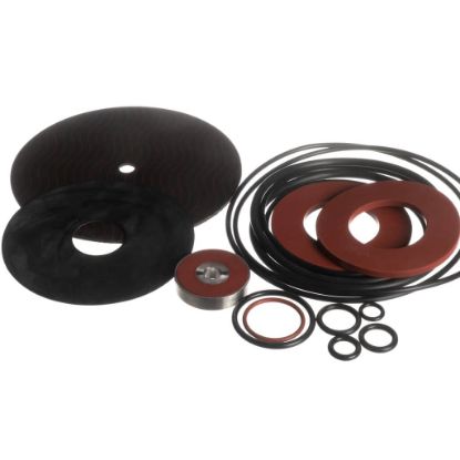 Picture of Watts Total Rubber Parts Repair Kit For 2 1/2 Part# 794056