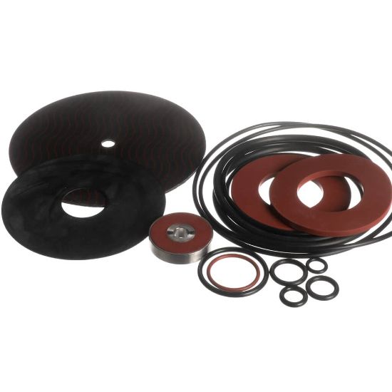 Picture of Watts Total Rubber Parts Repair Kit For 2 1/2 Part# 794056