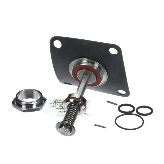 Picture of Watts Total Relief Valve Repair Kit For 1/2 An Part# 794059