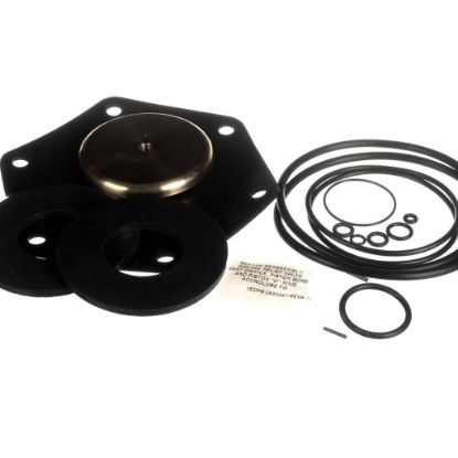 Picture of Watts Total Rubber Parts Repair Kit For 2 1/2 Part# 794089