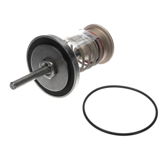 Picture of Watts 4 In Backflow Repair Kit, Lead Free, Ser Part# 794097