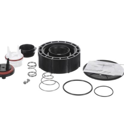 Picture of Watts 1 In Pressure Vacuum Breaker Total Repai Part# 887728