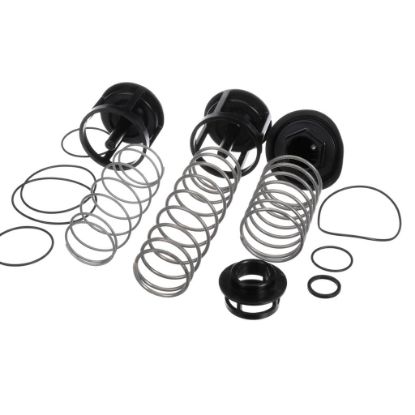 Picture of Watts 2 In Reduced Pressure Zone Total Repair Part# 888171