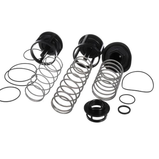 Picture of Watts 2 In Reduced Pressure Zone Total Repair Part# 888171