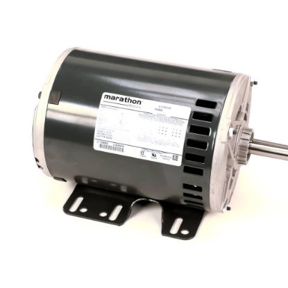 Picture of York Blower Motor,1.5,1725,208-230v Part# S1-02436163000