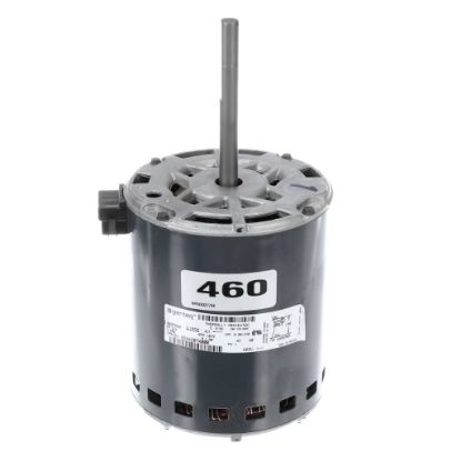 Picture of York Condenser Motor,3/4,1075/1,ccw Part# S1-02442074000