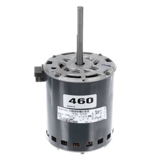 Picture of York Condenser Motor,3/4,1075/1,ccw Part# S1-02442074000