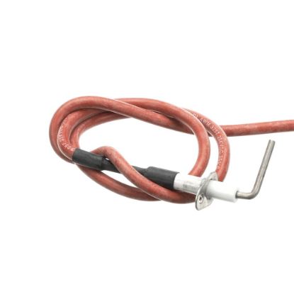 Picture of York Spark Ignitor Part# S1-02529010000