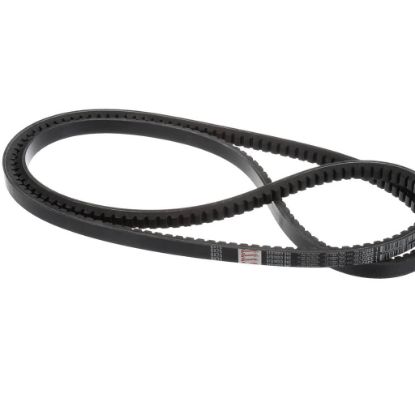 Picture of York Belt,drive Bx76,pl=77.8 Part# S1-02818134000