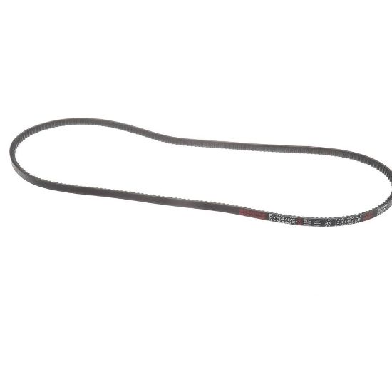Picture of York Multi Cogged Drive Belt, Ax56 Part# S1-AX56
