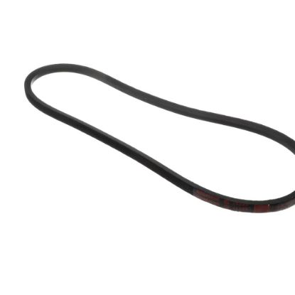 Picture of York Drive Belt,b46/5l490,multi Part# S1-B46