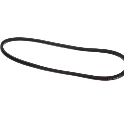 Picture of York Drive Belt,b47/5l500,multi Part# S1-B47